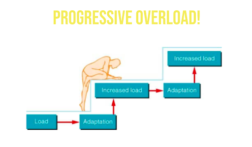 Progressive Überlastung im Krafttraining